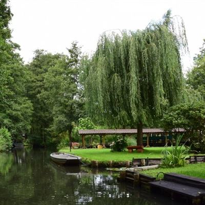 万博ManbetxAPP截图